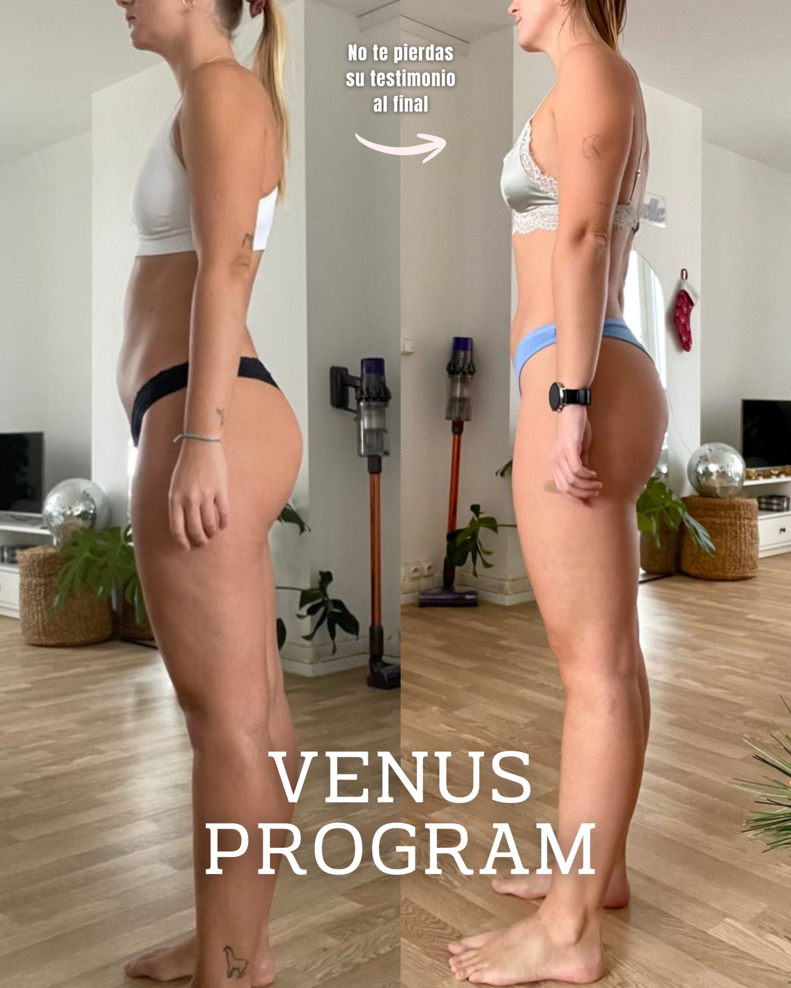 Copia de Copia de VENUS PROGRAM.zip - 1