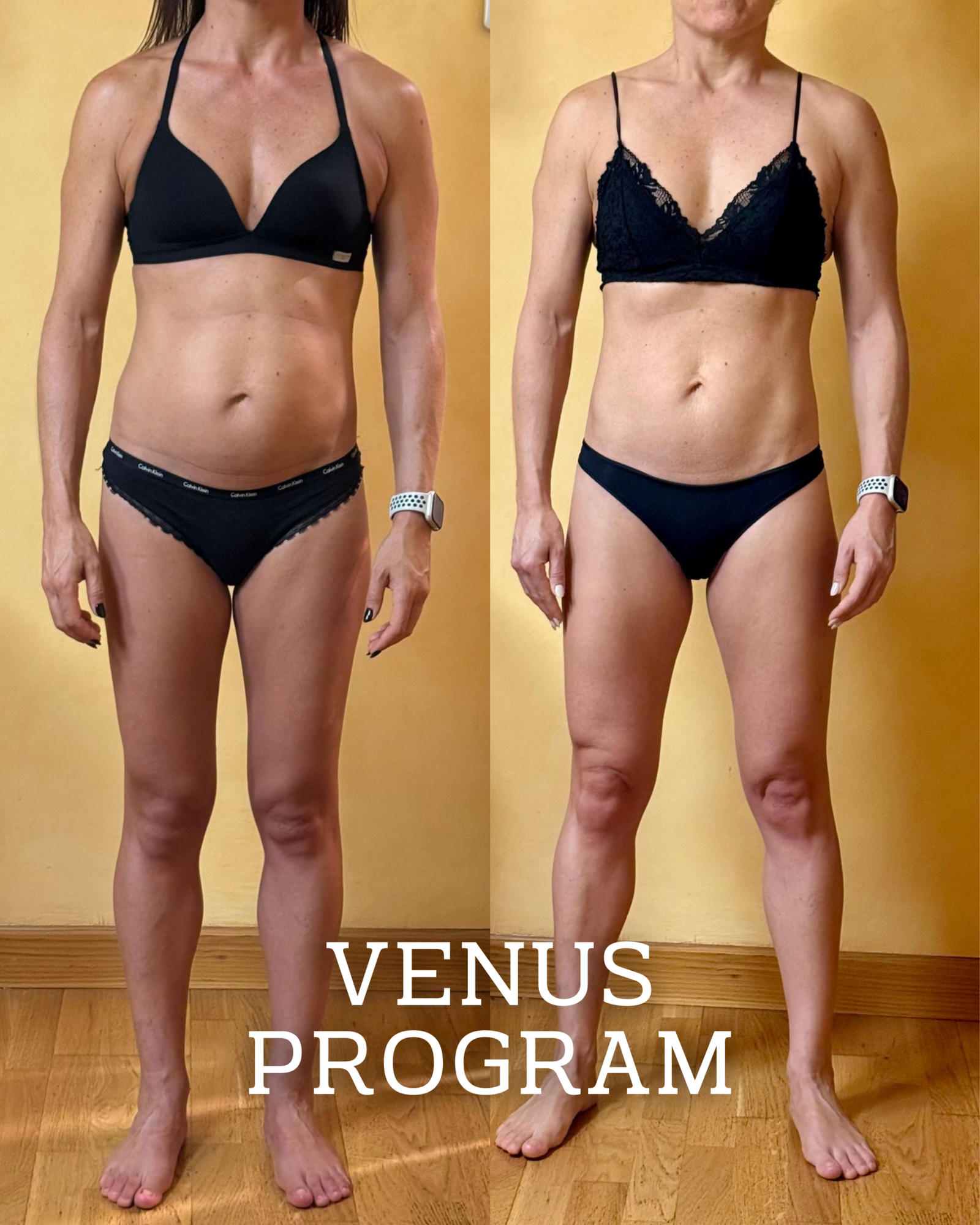 Copia de Copia de VENUS PROGRAM.zip - 2