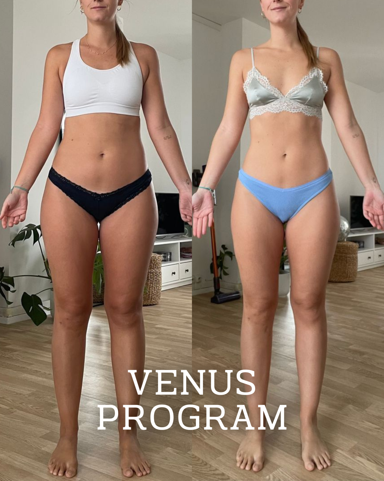 Copia de Copia de VENUS PROGRAM.zip - 2(1)