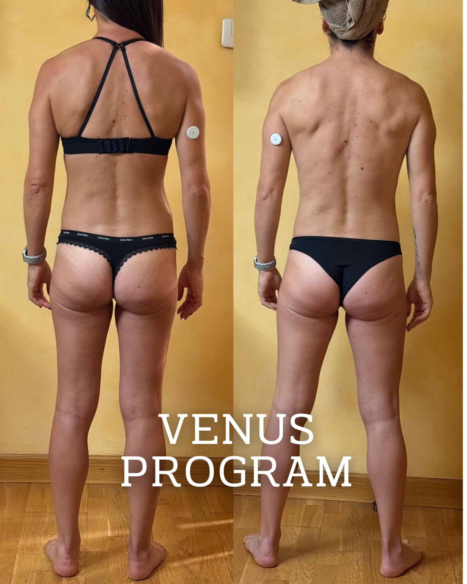 Copia de Copia de VENUS PROGRAM.zip - 3
