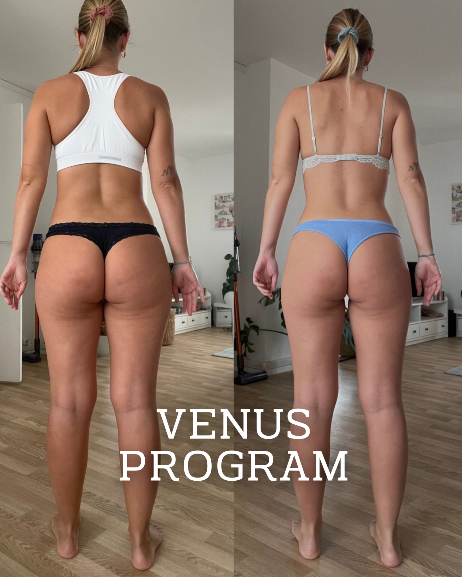 Copia de Copia de VENUS PROGRAM.zip - 3(1)